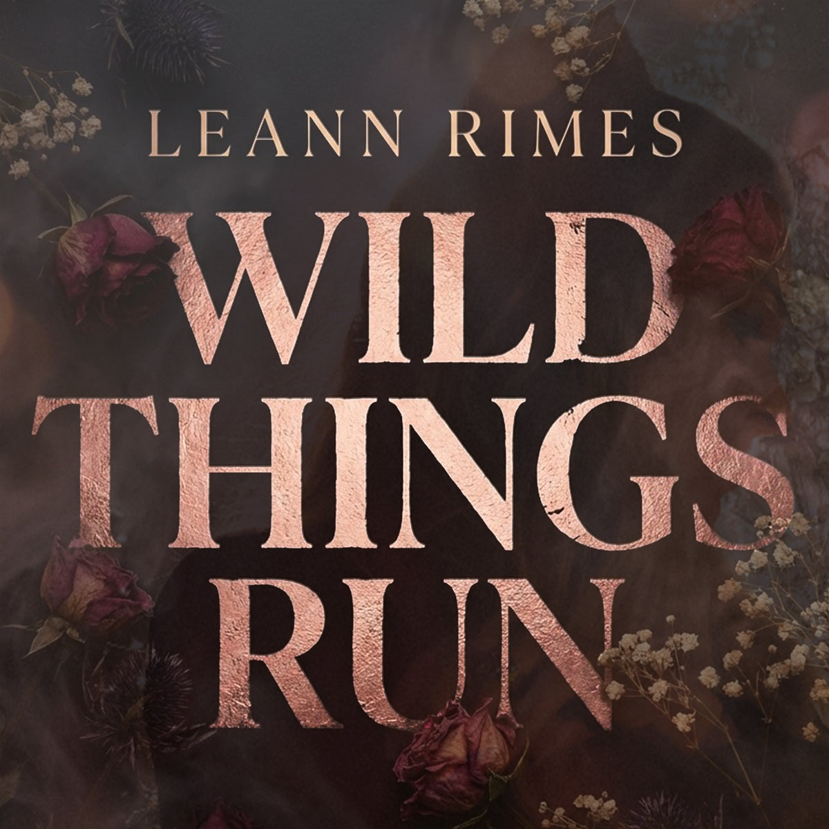 LeAnn Rimes Official Store
